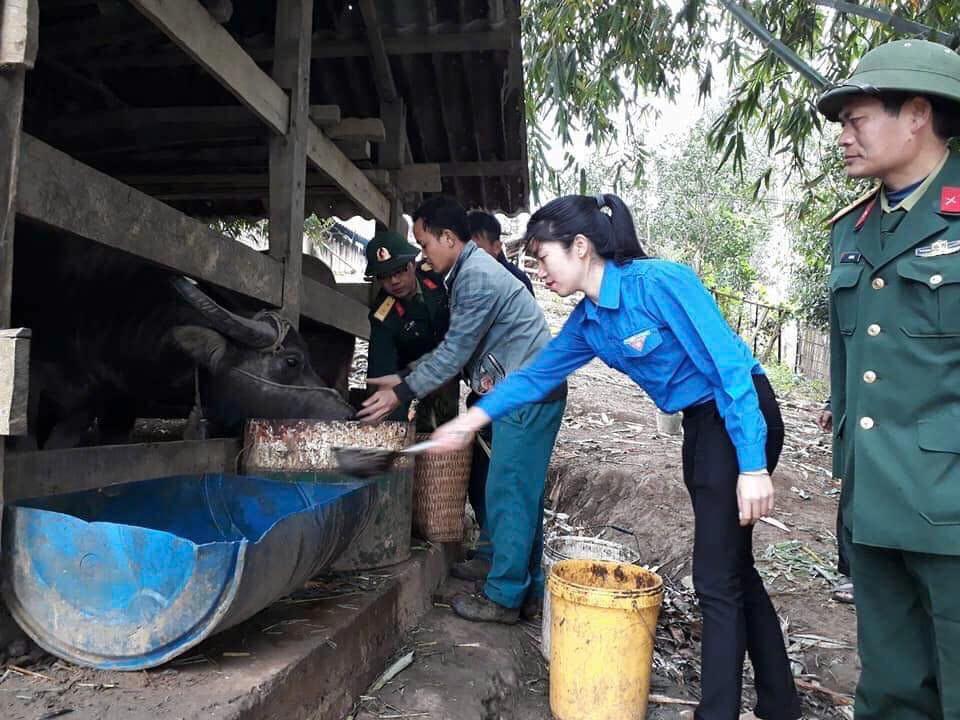 Hình ảnh trong tài liệu lịch sử Đoàn 345